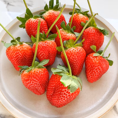 berries jpeg