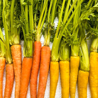 carrots celery jpeg