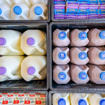 dairy jpeg