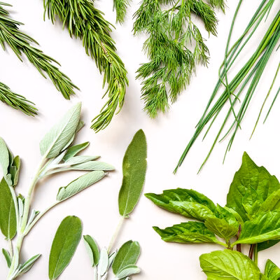 herbs jpeg