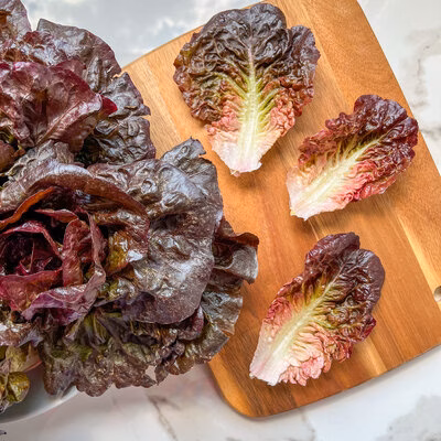 lettuce jpeg