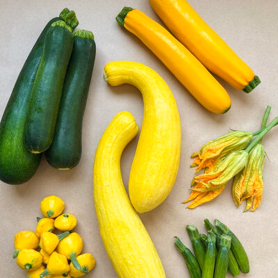 squash jpeg